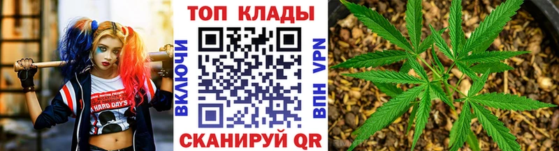 ГАШИШ Удомля