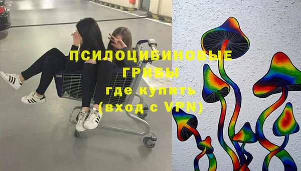ПСИЛОЦИБИНОВЫЕ ГРИБЫ Армянск