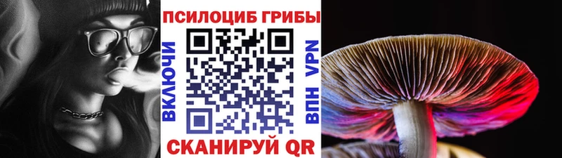 Галлюциногенные грибы Psilocybe  Купить  Удомля 